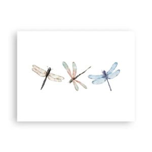 Poster - Libellule senza peso - 40x30 cm