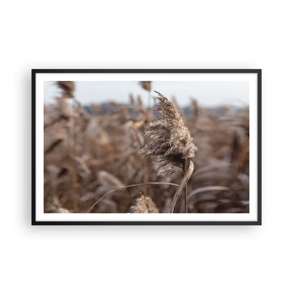 Poster in cornice nera - è tempo di volare col vento - 91x61 cm