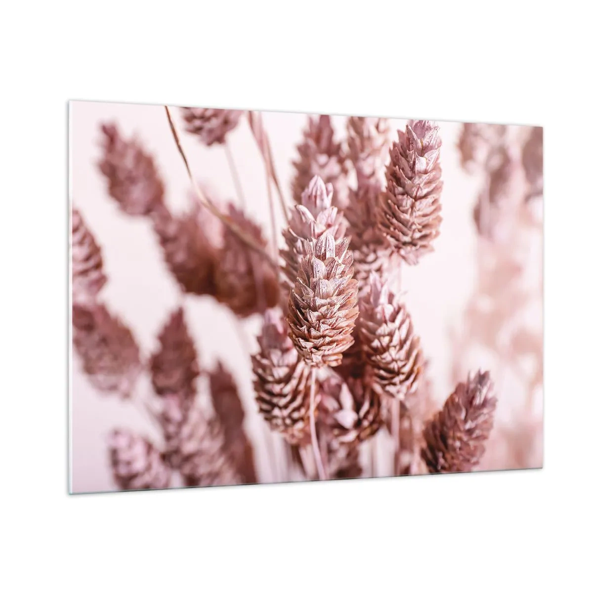 Quadro su vetro - Spighe di erba secca nei toni del rosa cipria - 100x70cm - A prima vista poco appariscenti - Decorazione murale moderna per soggiorno e camera da letto ARTTOR
