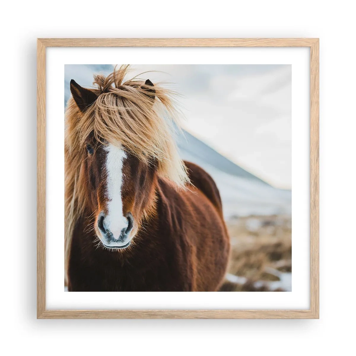 Poster in cornice rovere chiaro - Senti la libertà? - 50x50 cm