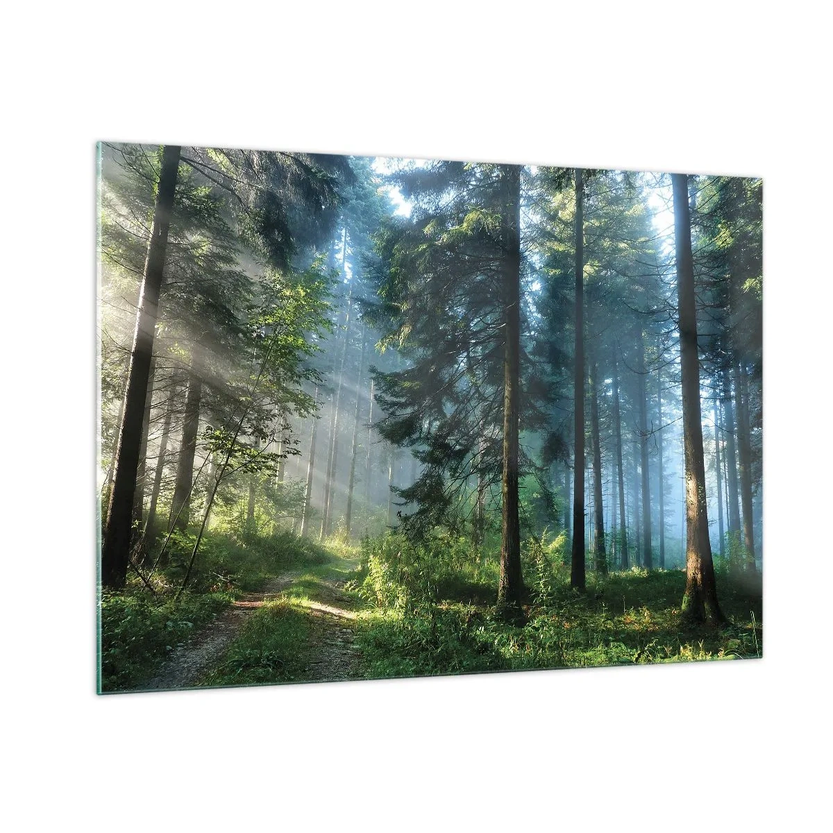 Quadro su vetro - Un sentiero nel bosco nella nebbia mattutina tra alberi alti - 100x70cm - Raggiante all'alba - Decorazione murale moderna per soggiorno e camera da letto ARTTOR