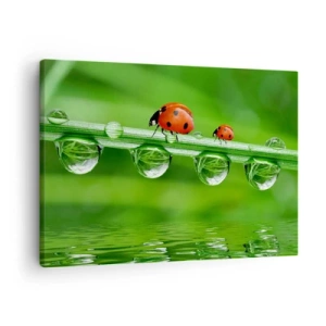 Quadro su tela - Stampe su Tela - Coccinelle su un filo d'erba con gocce di rugiada in un ambiente naturale - 70x50cm - In cammino per tutta l'estate - Decorazione murale moderna per soggiorno e camera da letto ARTTOR