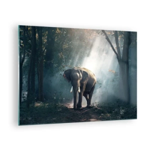 Quadro su vetro - Un elefante che cammina nella foresta mentre la luce del sole filtra tra gli alberi. - 70x50cm - Tranquilla passeggiata - Decorazione murale moderna per soggiorno e camera da letto ARTTOR