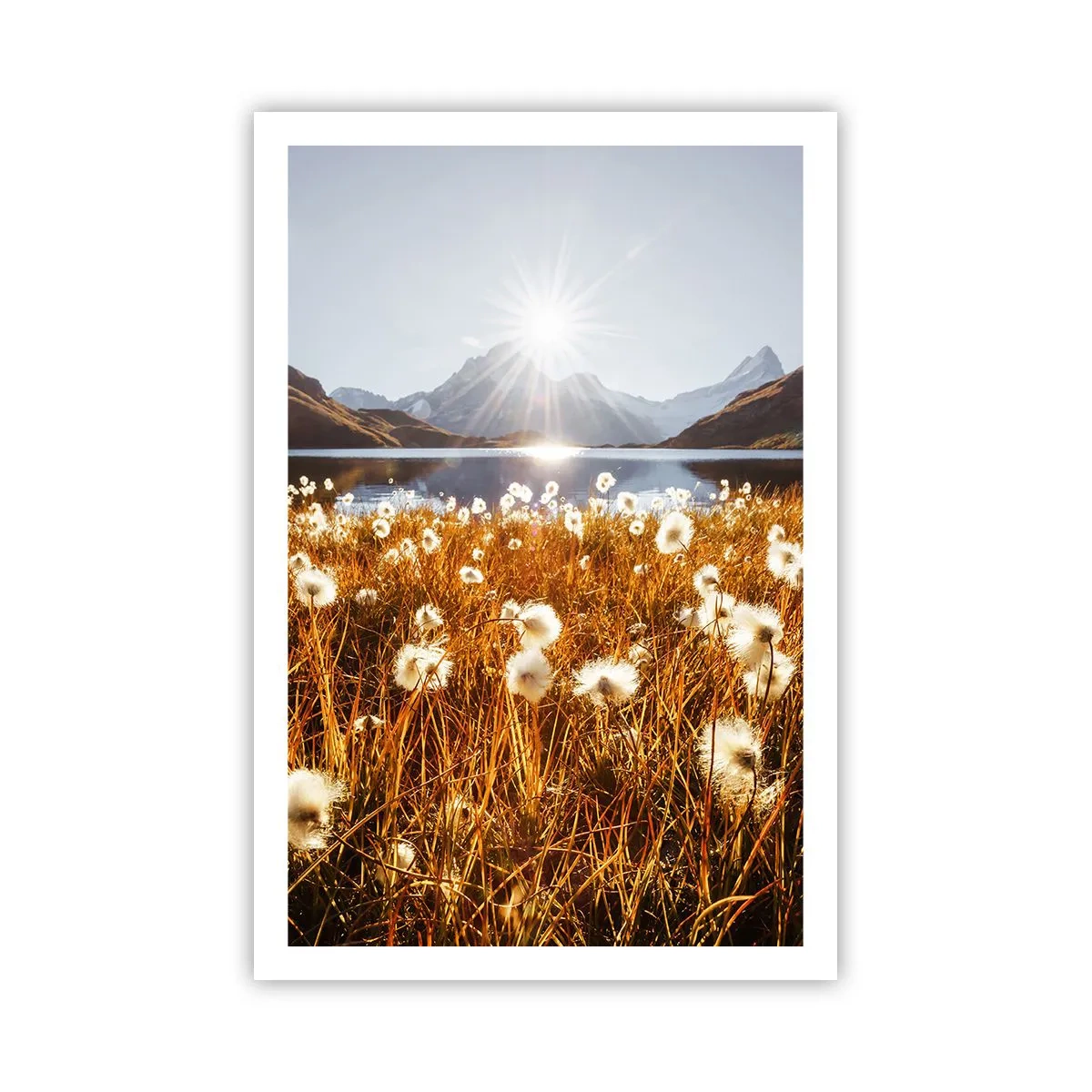 Poster - Durezza delle pietre, morbidezza dell'erba - 61x91 cm