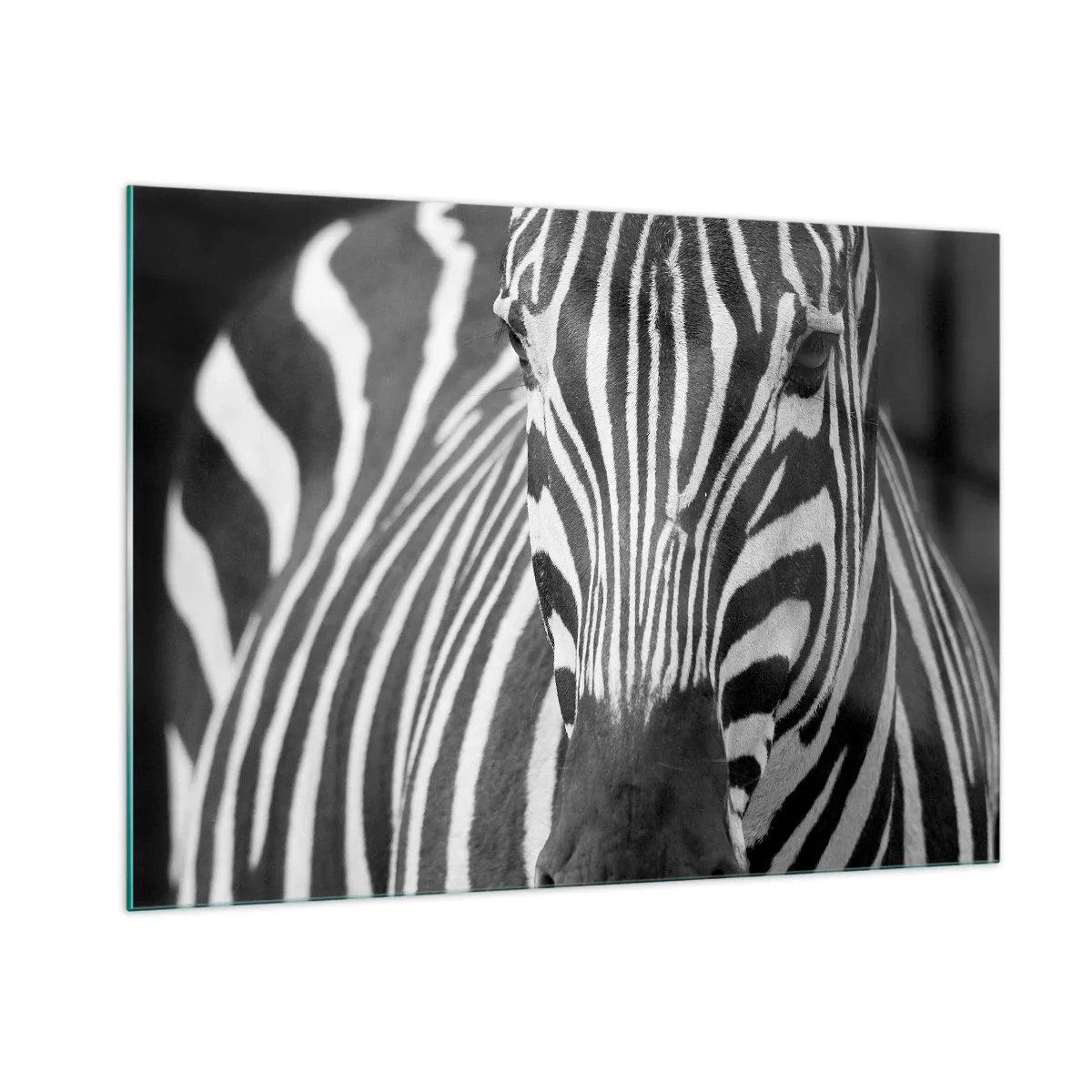 Quadro su vetro - Ritratto in bianco e nero di una zebra con strisce visibili - 100x70cm - Il mondo è in bianco e nero - Decorazione murale moderna per soggiorno e camera da letto ARTTOR