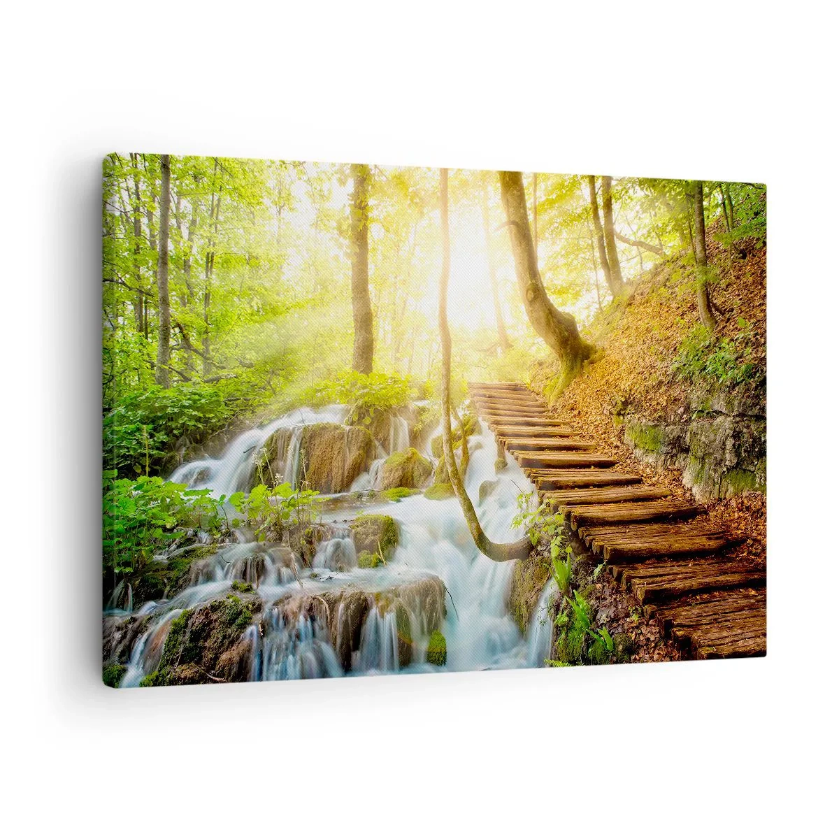 Quadro su tela - Stampe su Tela - Sentiero nel bosco con scale in legno vicino alla cascata - 70x50cm - Bramata freschezza - Decorazione murale moderna per soggiorno e camera da letto ARTTOR