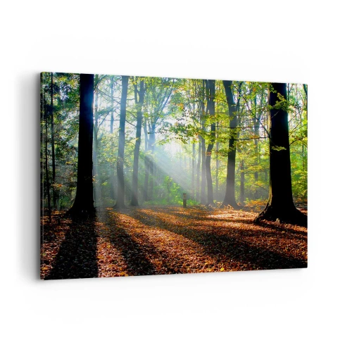 Quadro su tela - Stampe su Tela - Una radura della foresta illuminata dai raggi del sole - 120x80cm - Luci e ombre - Decorazione murale moderna per soggiorno e camera da letto ARTTOR
