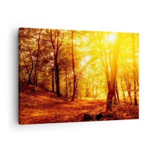 Quadro su tela - Stampe su Tela - Radura autunnale alla luce dorata del sole con un sentiero nel bosco - 70x50cm - Verso la radura dorata - Decorazione murale moderna per soggiorno e camera da letto ARTTOR