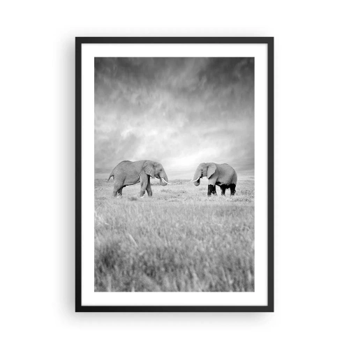Poster in cornice nera - Elefanti bianchi e neri nella savana - 50x70cm - Grigio è bello - Decorazione murale moderna per soggiorno e camera da letto ARTTOR