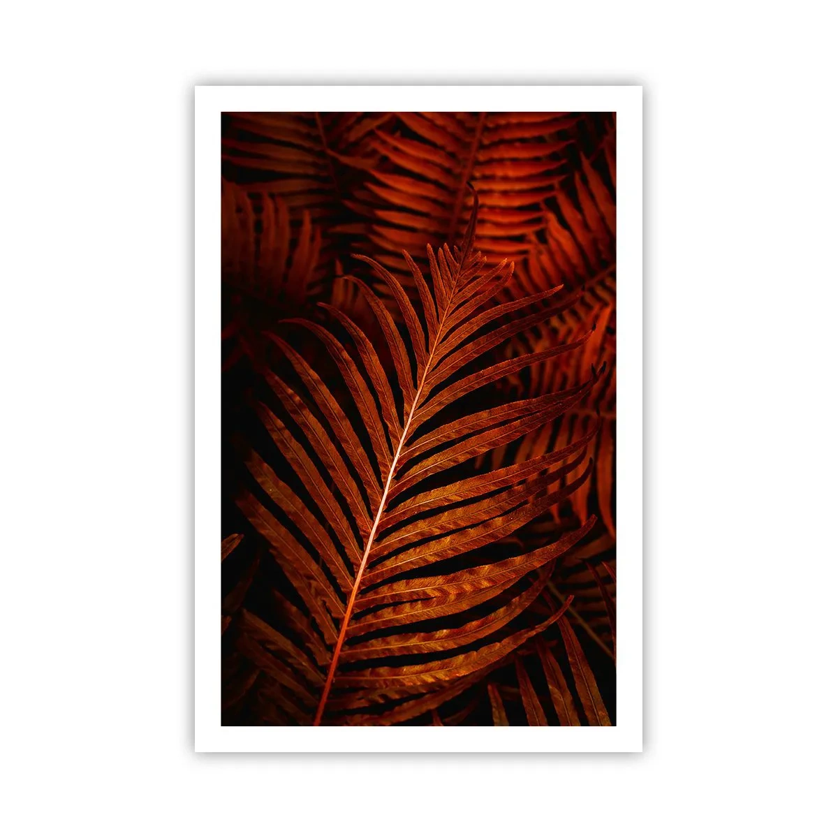 Poster - Il calore della vita - 61x91 cm