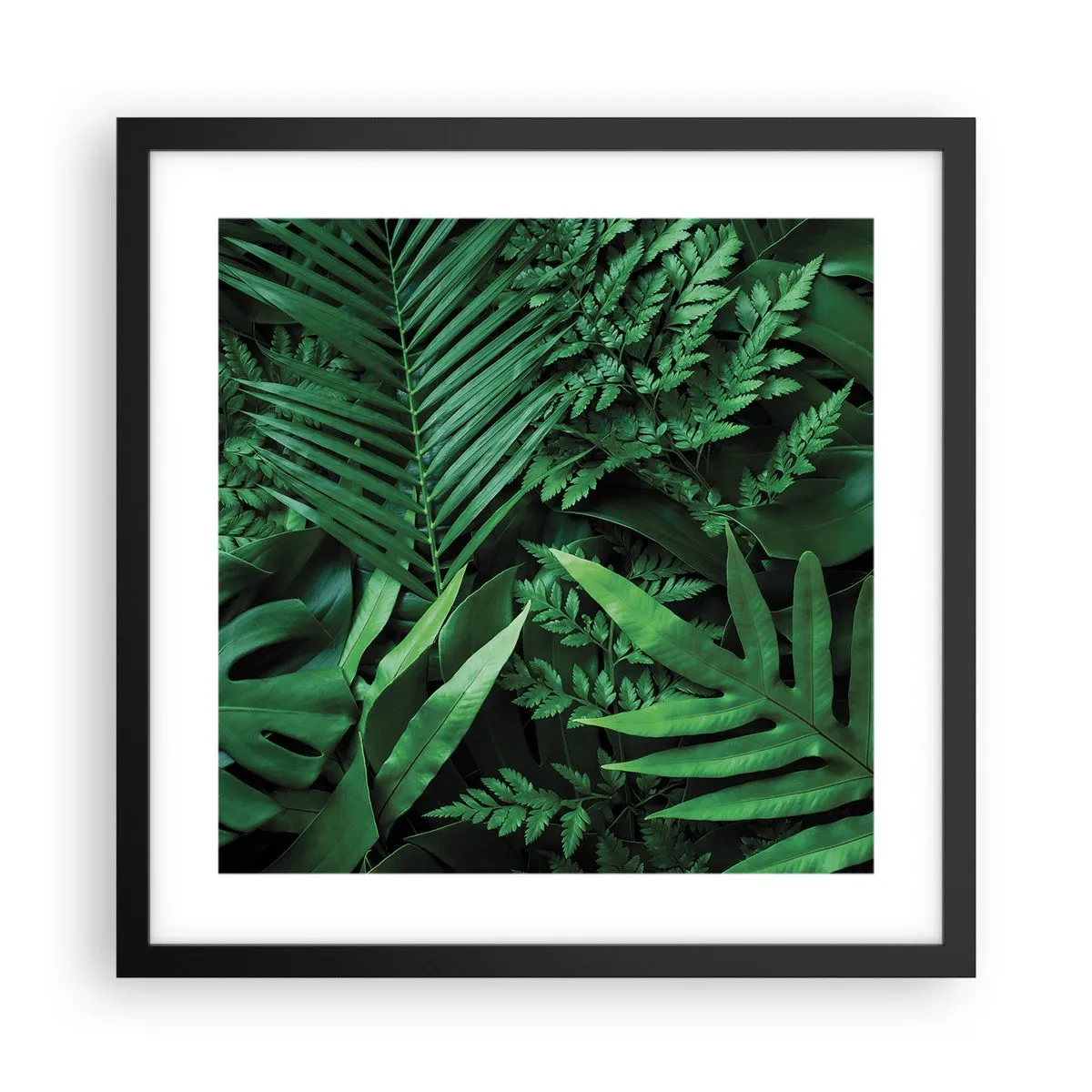 Poster in cornice nera - Avvolti nel verde - 40x40 cm