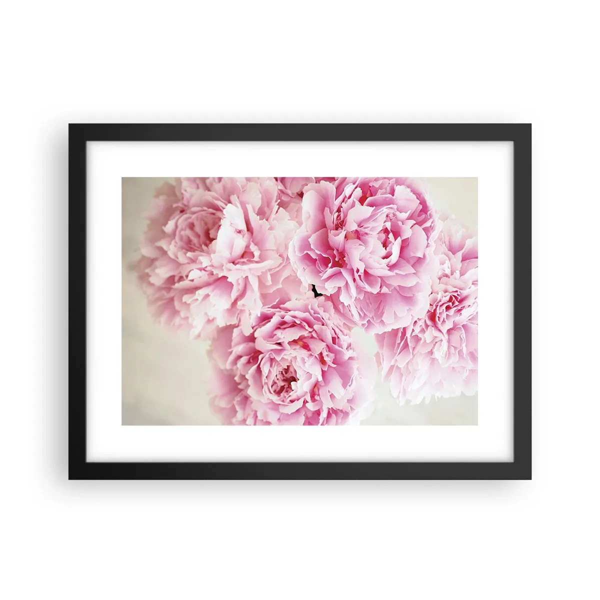Poster in cornice nera - Nel fasto rosa - 40x30 cm