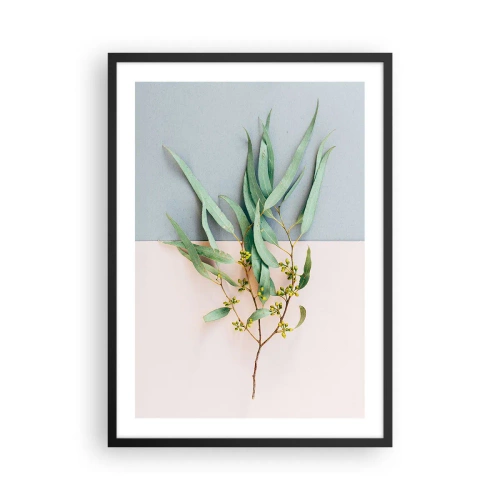 Poster in cornice nera - Un rametto di eucalipto su uno sfondo pastello - 50x70cm - Delicatezza pastello - Decorazione murale moderna per soggiorno e camera da letto ARTTOR