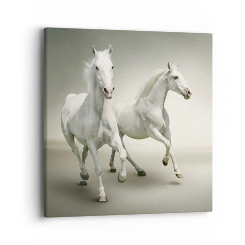 Quadro su tela - Stampe su Tela - White power! - 40x40 cm