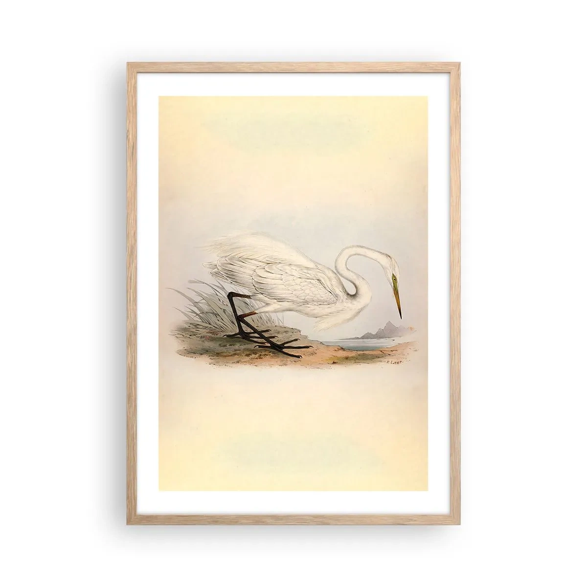 Poster in cornice rovere chiaro - La signora nel canneto - 50x70 cm