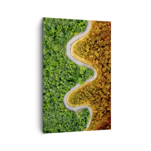 Quadro su tela - Stampe su Tela - Una strada tortuosa attraverso la foresta vista da una prospettiva a volo d'uccello - 80x120cm - Confine e separazione - Decorazione murale moderna per soggiorno e camera da letto ARTTOR