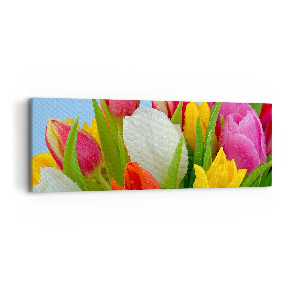 Quadro su tela - Stampe su Tela - Fiori multicolori nella rugiada - 90x30 cm