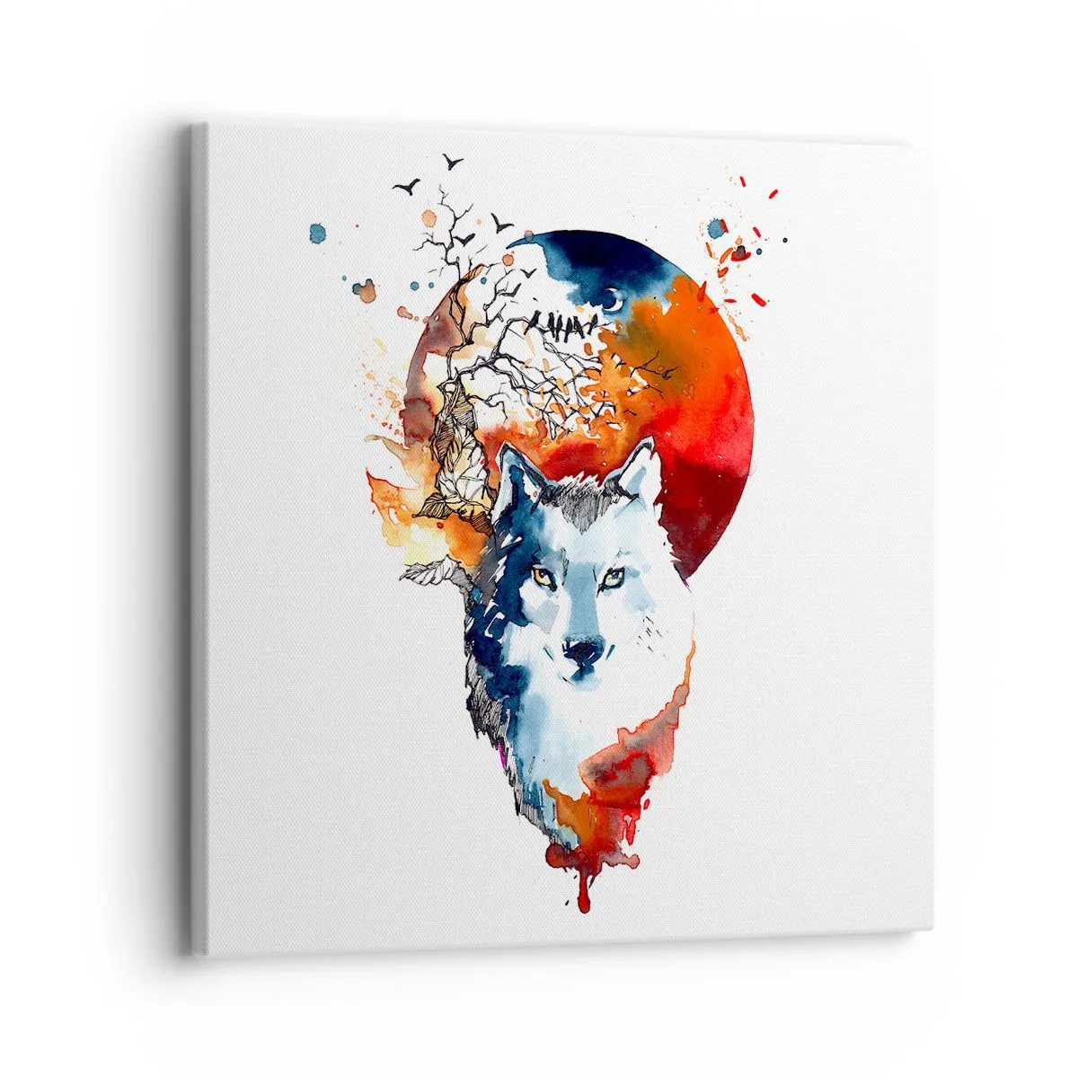 Quadro su tela - Stampe su Tela - Naso a naso con la notte - 30x30 cm