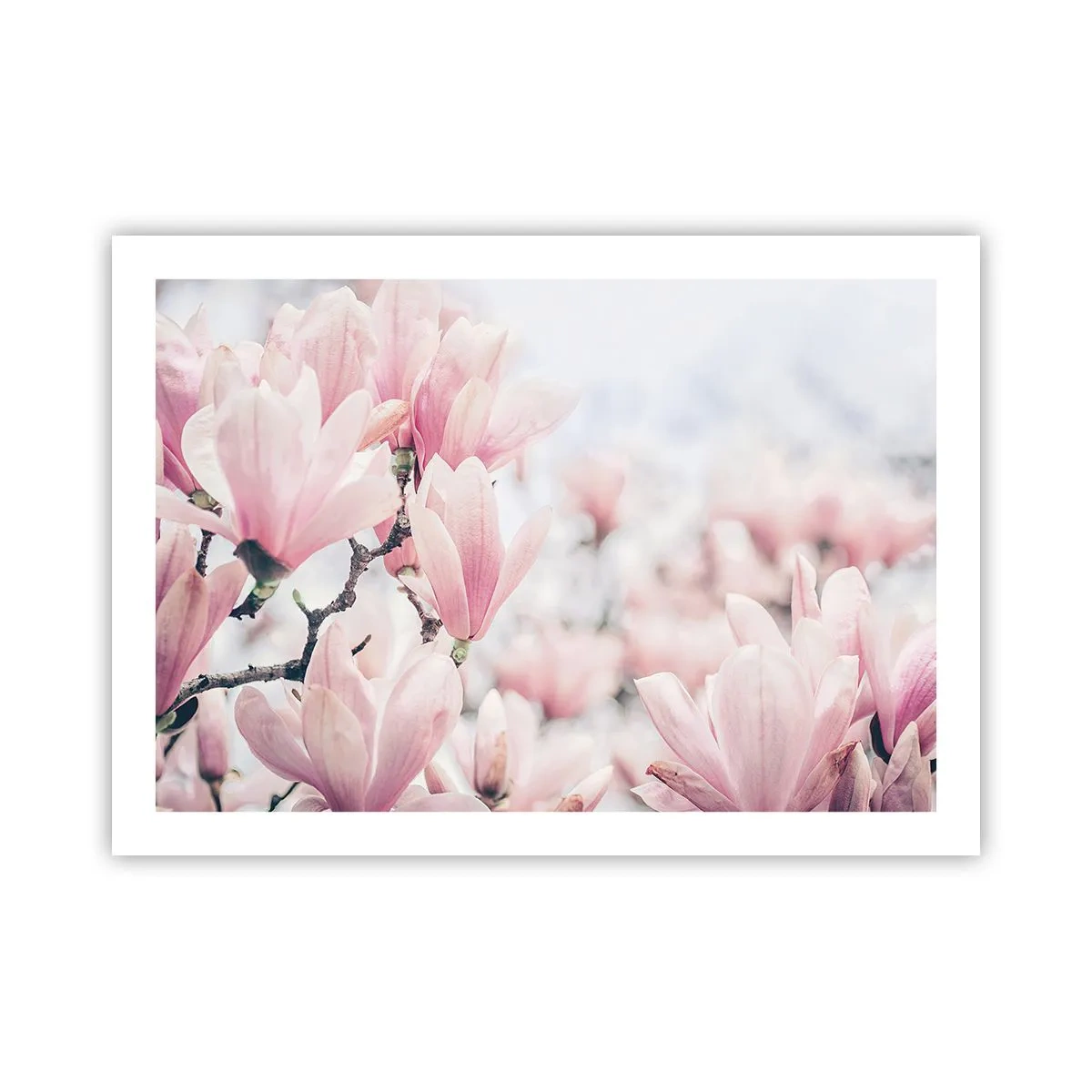 Poster - Ideale di delicatezza - 70x50 cm