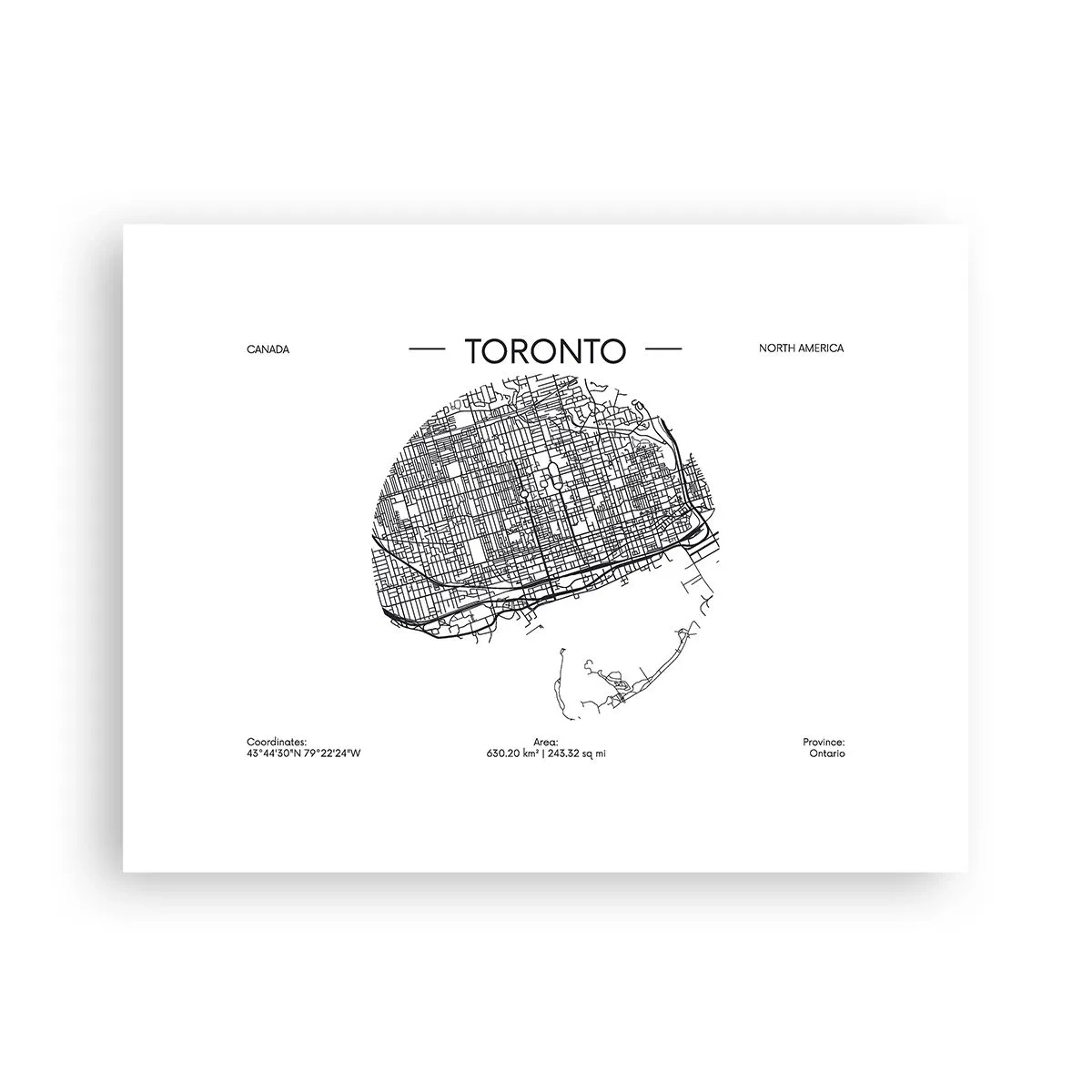 Poster - Anatomia di Toronto - 40x30 cm
