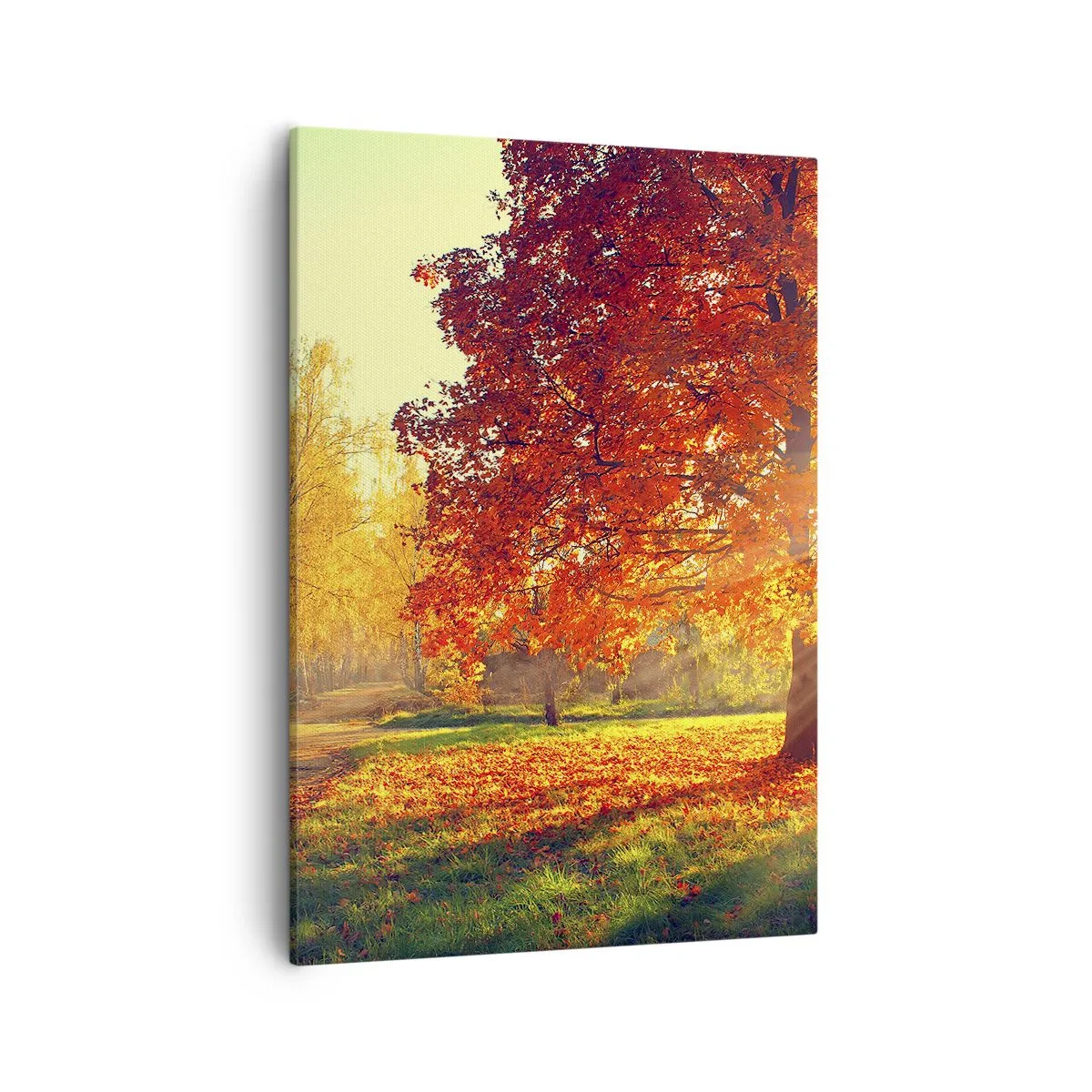 Quadro su tela - Stampe su Tela - Parco autunnale illuminato dalla luce del sole - 50x70cm - Rosso è bello - Decorazione murale moderna per soggiorno e camera da letto ARTTOR