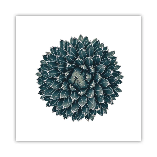 Poster - La stella del deserto - 50x50 cm