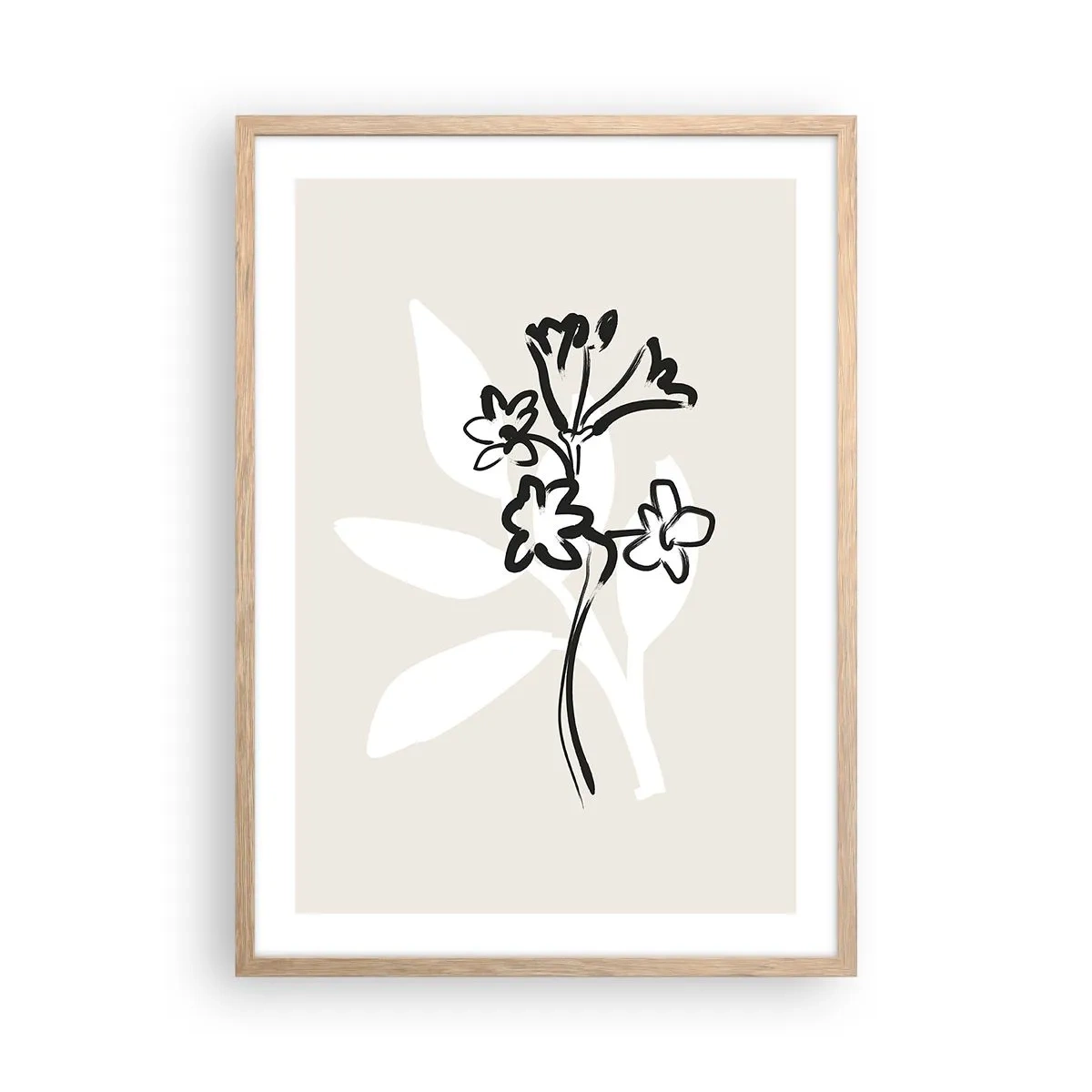 Poster in cornice rovere chiaro - Schizzo per l'erbario - 50x70 cm