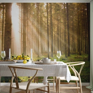 Fotomurale su misura Premium Sand - Adesso appaiono gli elfi - foresta, Raggi del sole, Natura