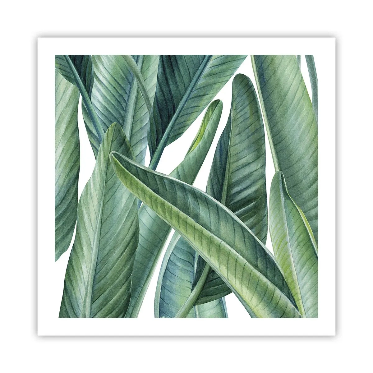 Poster - Il verde in sé - 60x60 cm