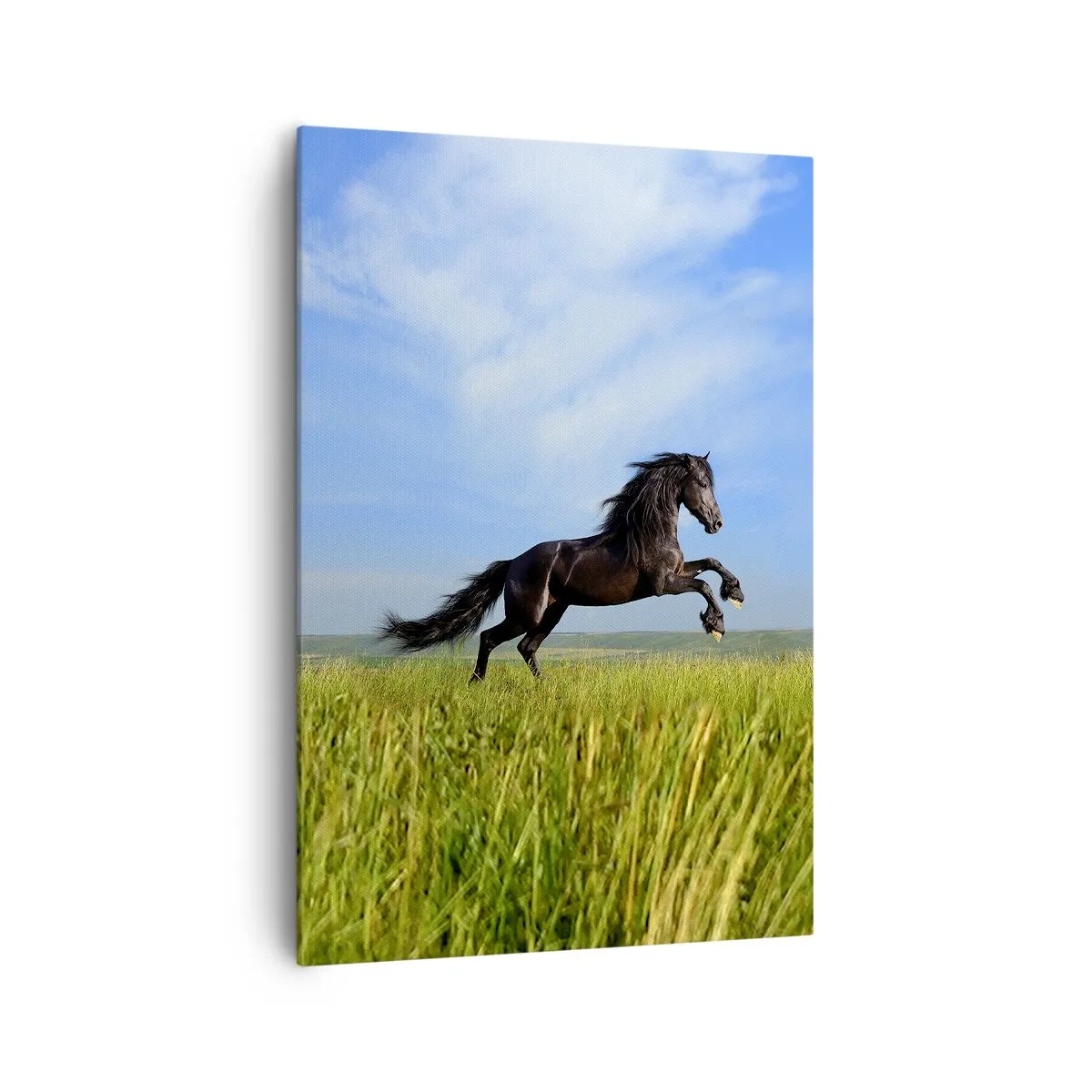 Quadro su tela - Stampe su Tela - Un cavallo nero che corre contro un cielo azzurro e un prato verde - 70x100cm - Coinvolgente manifesto di libertà - Decorazione murale moderna per soggiorno e camera da letto ARTTOR