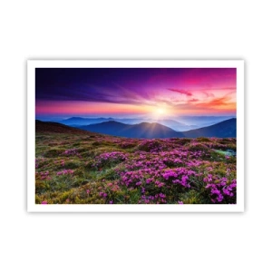 Poster - Prato di montagna con fiori al tramonto - 100x70cm - Il profumo dei fiori freschi del campo - Decorazione murale moderna per soggiorno e camera da letto ARTTOR