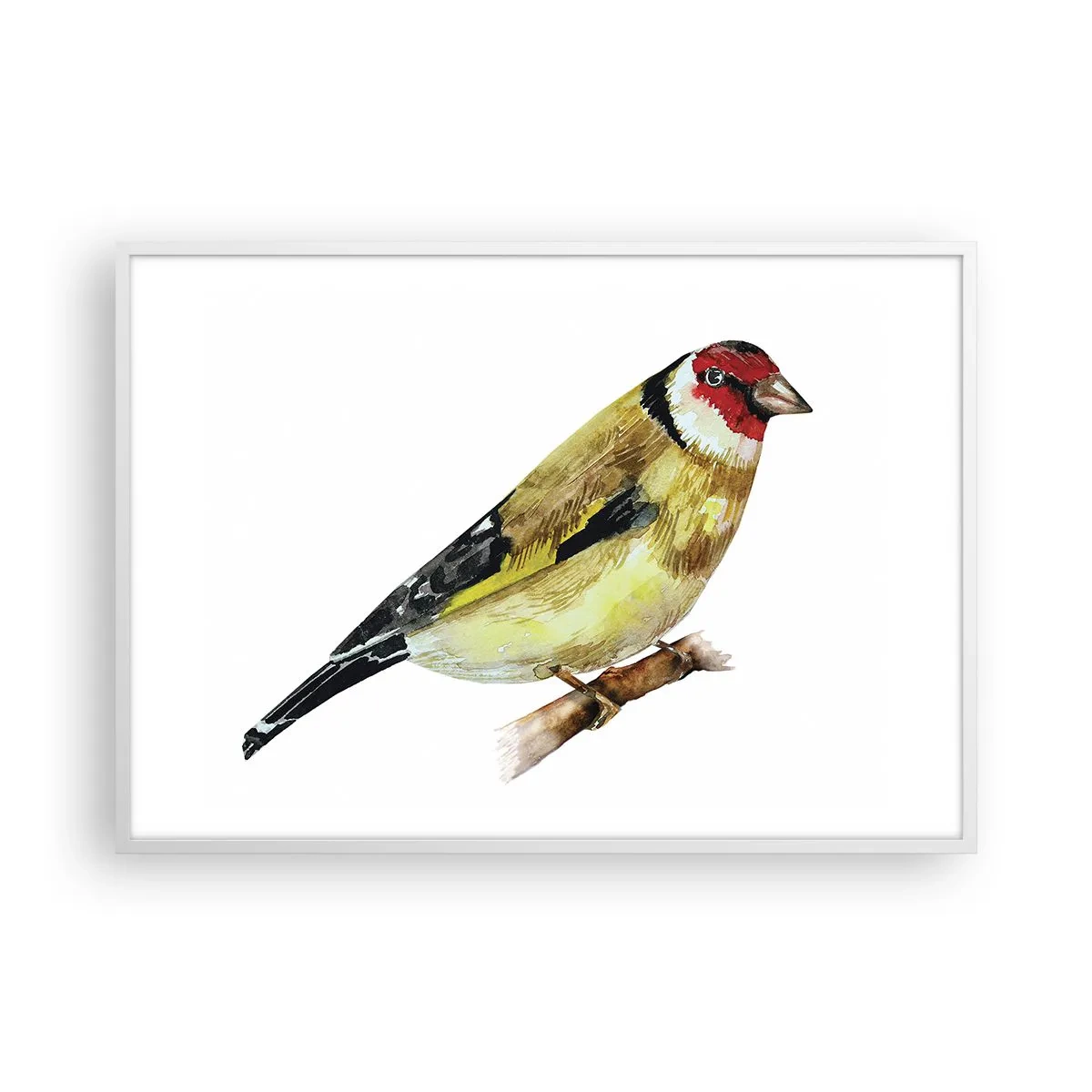 Poster in cornice bianca - Ritratto di uccello - 100x70 cm