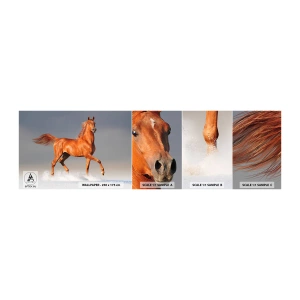 Campione di Fotomurale Adesivo Deluxe Sticker - Grazia danzante - Animali, Cavallo, Natura - 100x30 cm