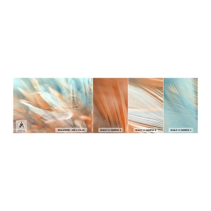Campione di Fotomurale Adesivo Deluxe Sticker - Nel paese della mitezza - Delicato, Piume, Minimalismo - 100x30 cm