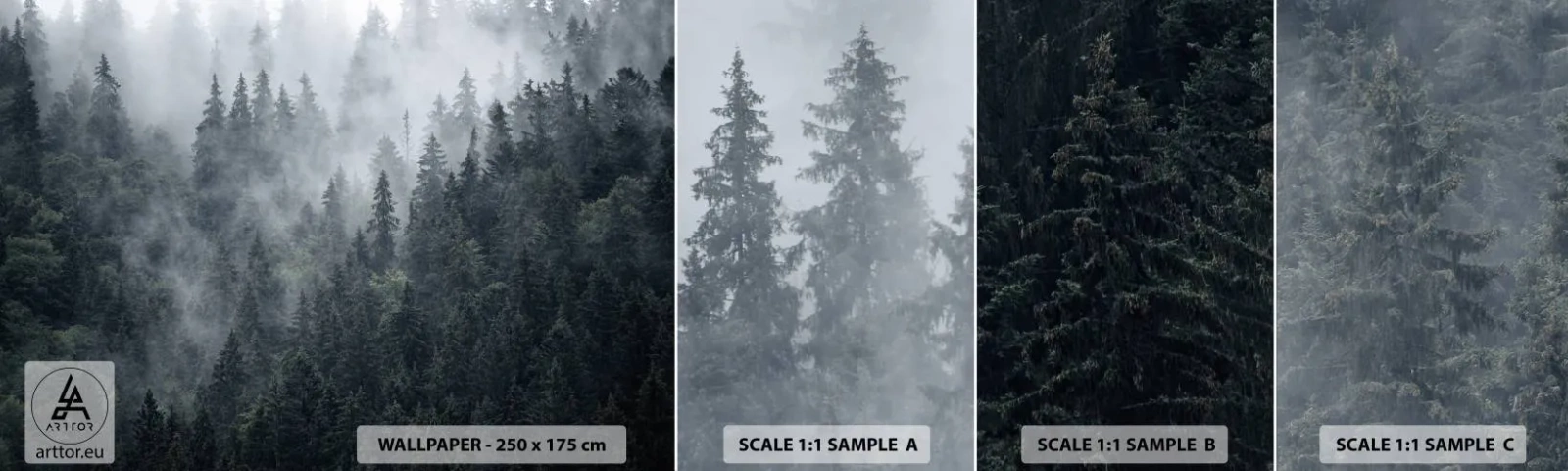 Campione di Fotomurale Adesivo Deluxe Sticker - Alba nel bosco - Paesaggio, foresta, Natura - 100x30 cm