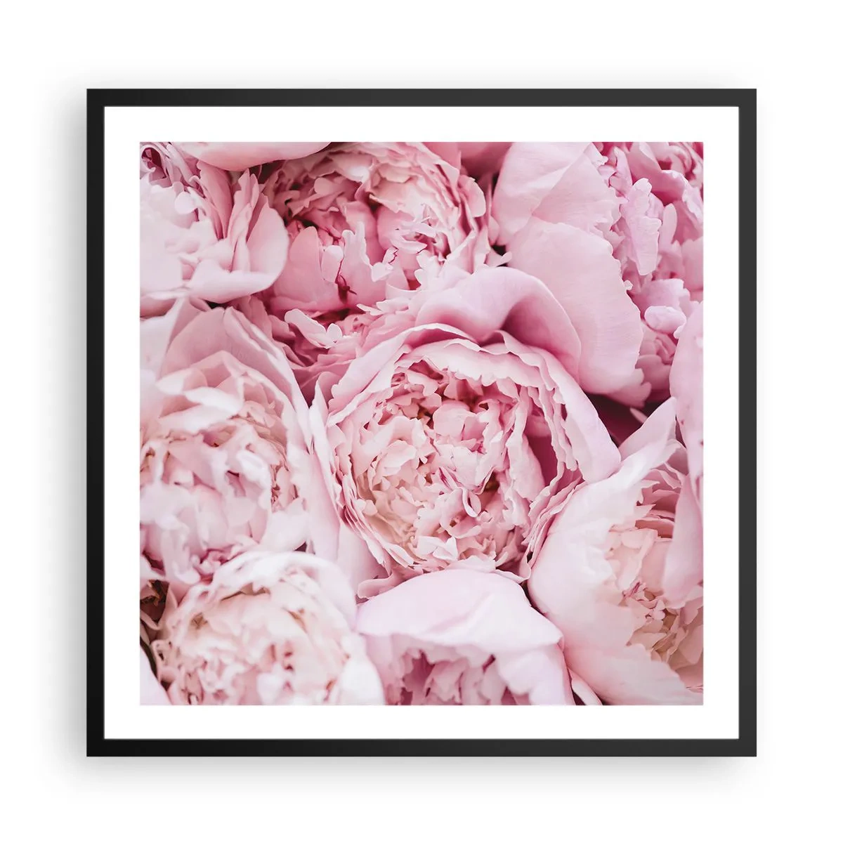 Poster in cornice nera - Morbide e profumate - 60x60 cm