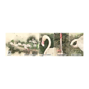 Campione Di Fotomurale Standard Eco - Sogno esotico - Uccelli, Fenicotteri, Natura - 100x30 cm