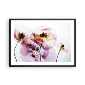 Poster in cornice nera - Delicati fiori trasparenti in tonalità pastello - 70x50cm - Fiori trasparenti - Decorazione murale moderna per soggiorno e camera da letto ARTTOR