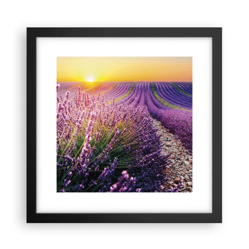 Poster in cornice nera - Campo profumato - 30x30 cm