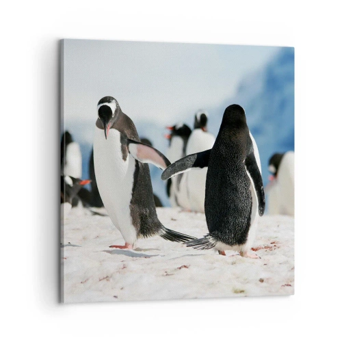 Quadro su tela - Stampe su Tela - Danza sulla neve - 60x60 cm