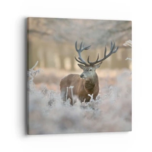 Quadro su tela - Stampe su Tela - Fresco mattino - 40x40 cm