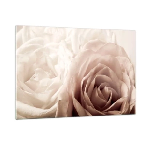 Quadro su vetro - Delicate rose chiare in un romantico primo piano - 120x80cm - Nel cuore della rosa - Decorazione murale moderna per soggiorno e camera da letto ARTTOR