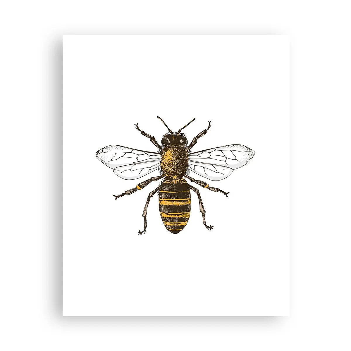 Poster - Bella e buona - 40x50 cm