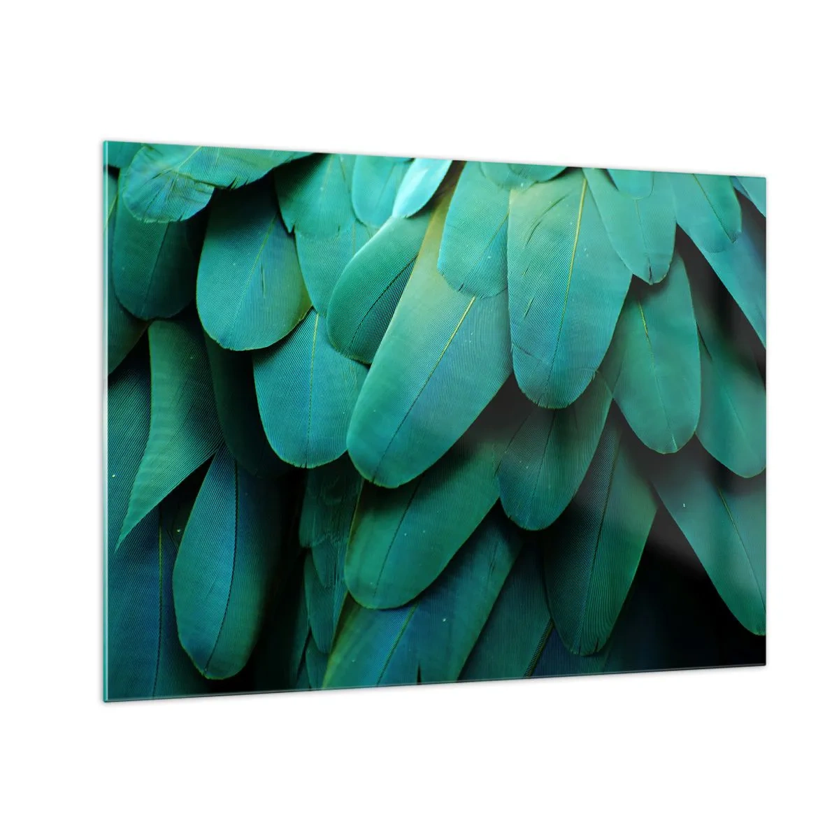 Quadro su vetro - Primo piano delle piume di un pappagallo di un verde intenso. - 70x50cm - Precisione da pappagallo - Decorazione murale moderna per soggiorno e camera da letto ARTTOR