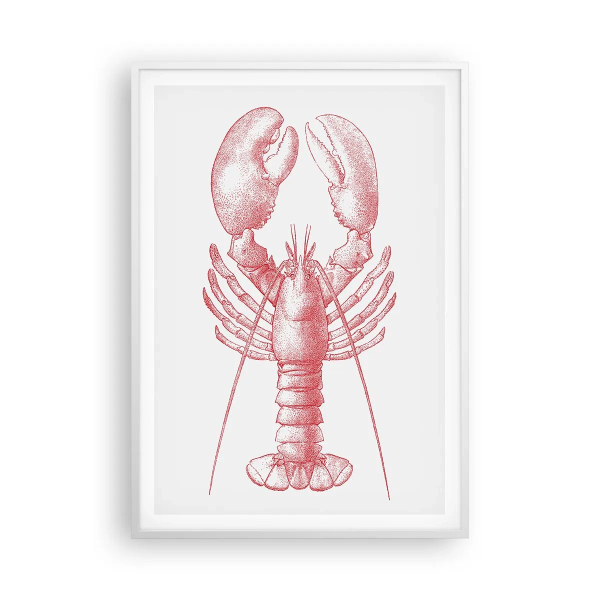 Poster in cornice bianca - Aragosta d'agosto - 70x100 cm