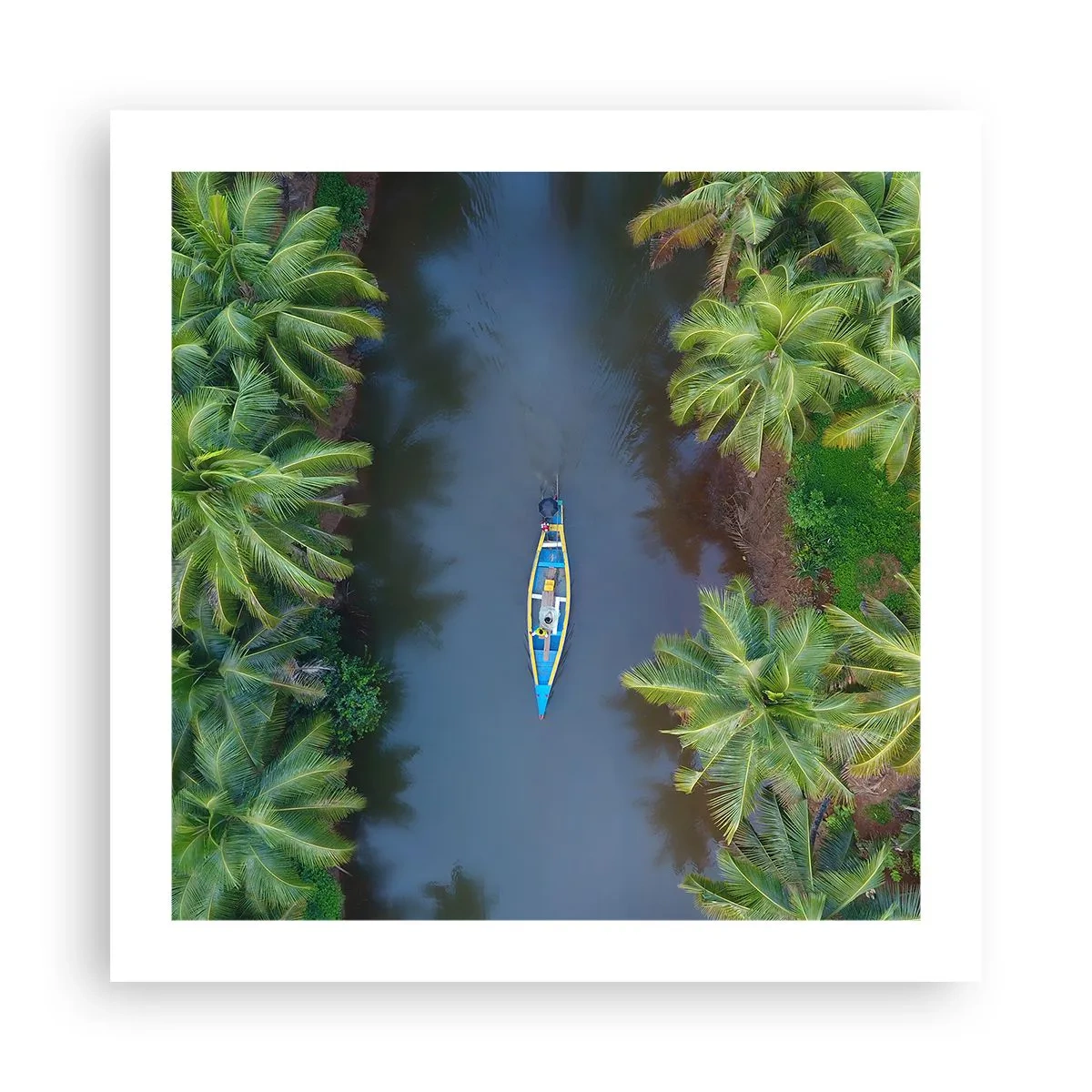 Poster - Sul percorso tropicale - 50x50 cm