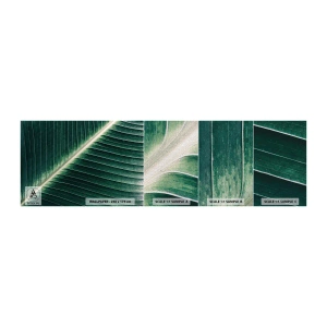 Campione di Fotomurale Premium Canvas - Il ritmo della natura - Astrazione, Foglia verde, Grafica - 100x30 cm