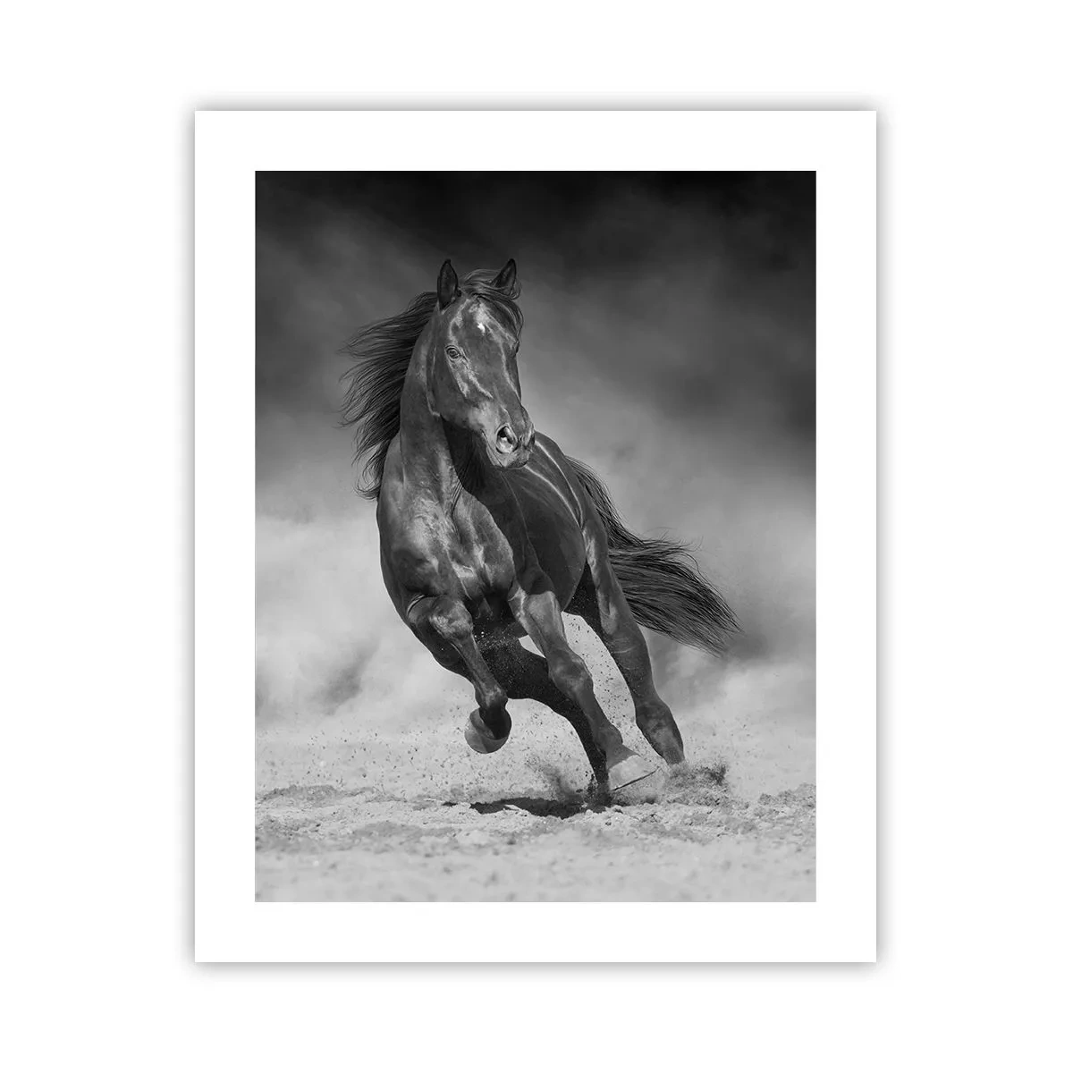 Poster - Degno dell'emiro - 40x50 cm