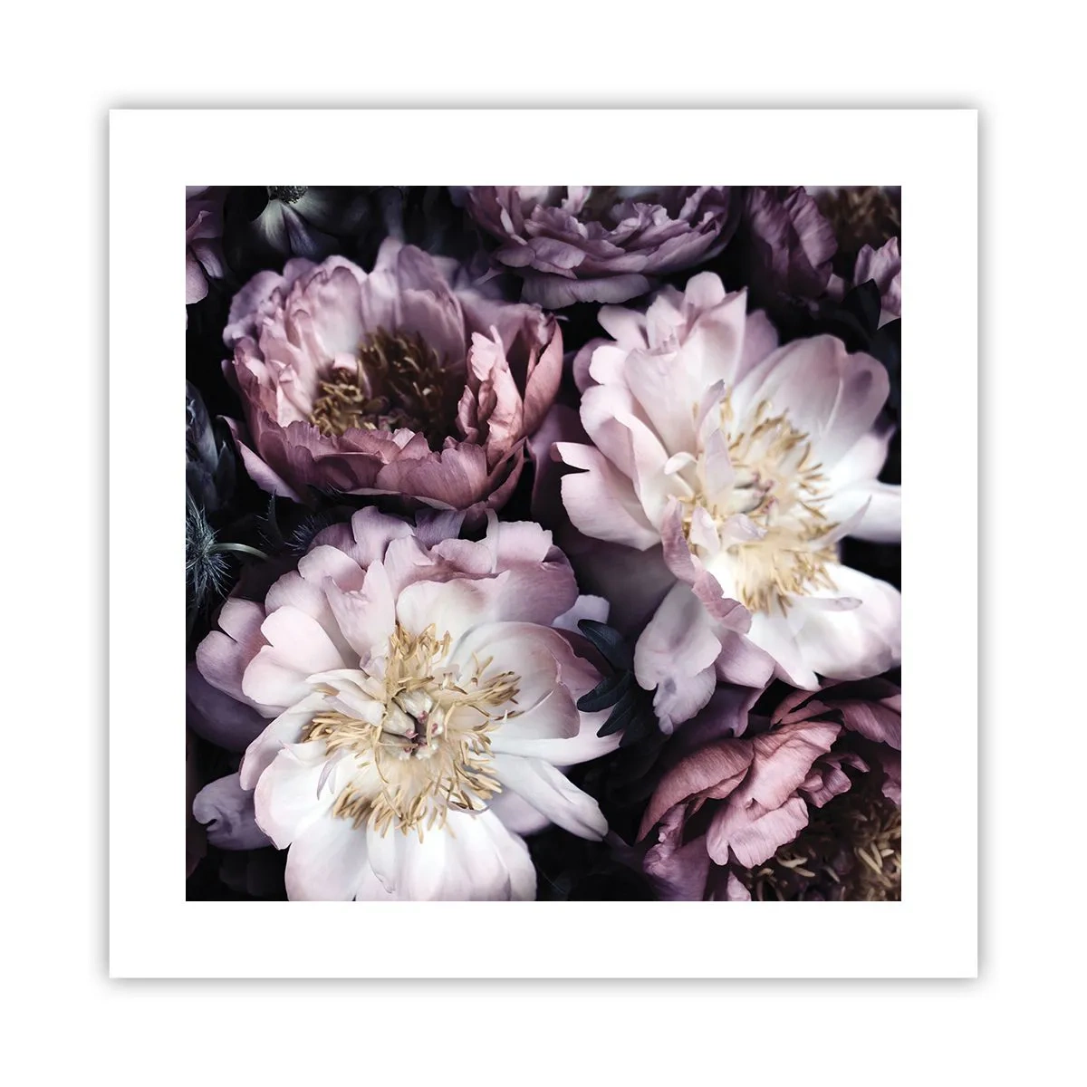 Poster - Bouquet nel vecchio stile - 40x40 cm