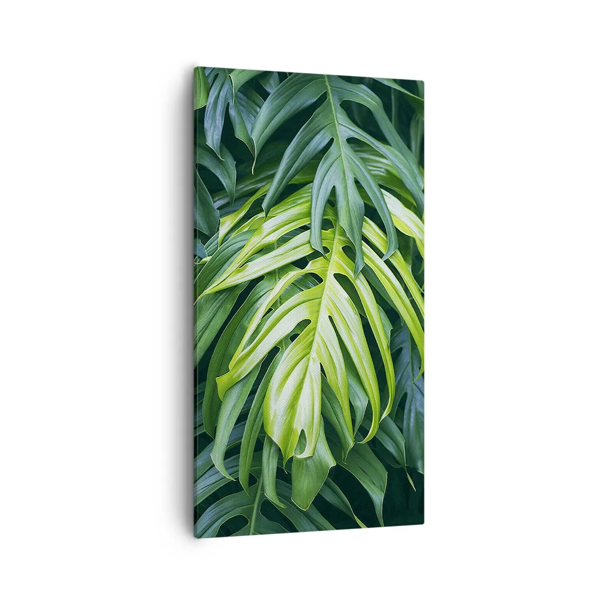 Quadro su tela - Stampe su Tela - Immergersi nella freschezza - 55x100 cm